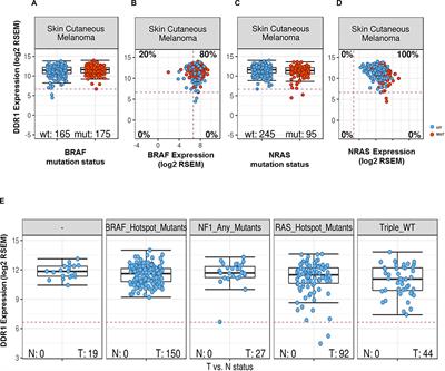 Discoidin Domain Receptors in Melanoma: Potential Therapeutic Targets to Overcome MAPK Inhibitor Resistance